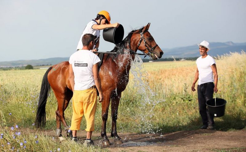 "Maratonul cailor", la Salina Equines din Cluj.  Peste 40 de cai şi călăreţi se întrec pe 120 de km