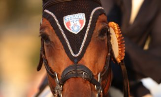 Continuă competiţiile la Salina Equines: Cupa Federației Ecvestre Române