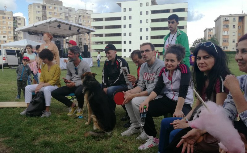 Exerciţiu pentru cartiere mai prietenoase în Cluj (II). "Pârâul nostru de La Terenuri"