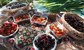 Universitarii clujeni umflă prețurile la fructe