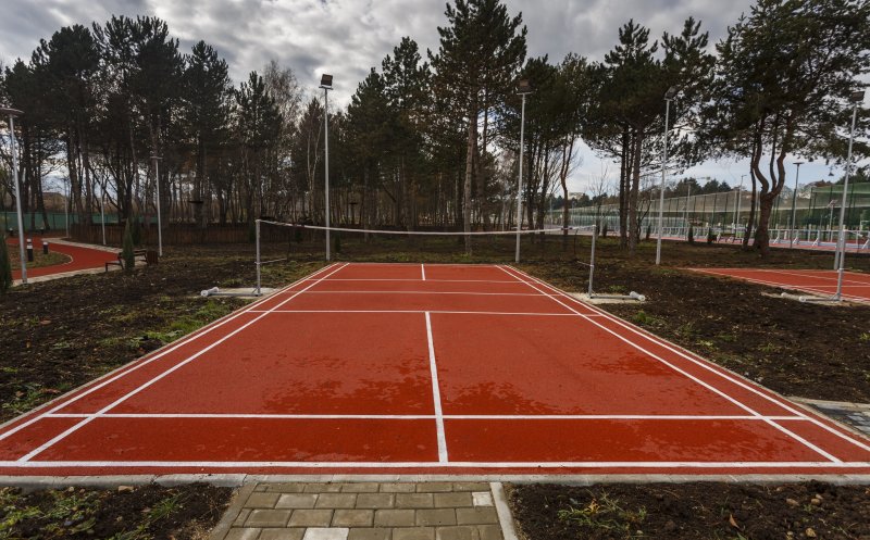 Se usucă pinii din Baza Sportivă Gheorgheni. "Ăsta-i orașul de cinci stele?"