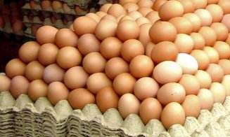 România a importat lactate şi ouă de aproape 85 de milioane de euro, în primele două luni ale anului