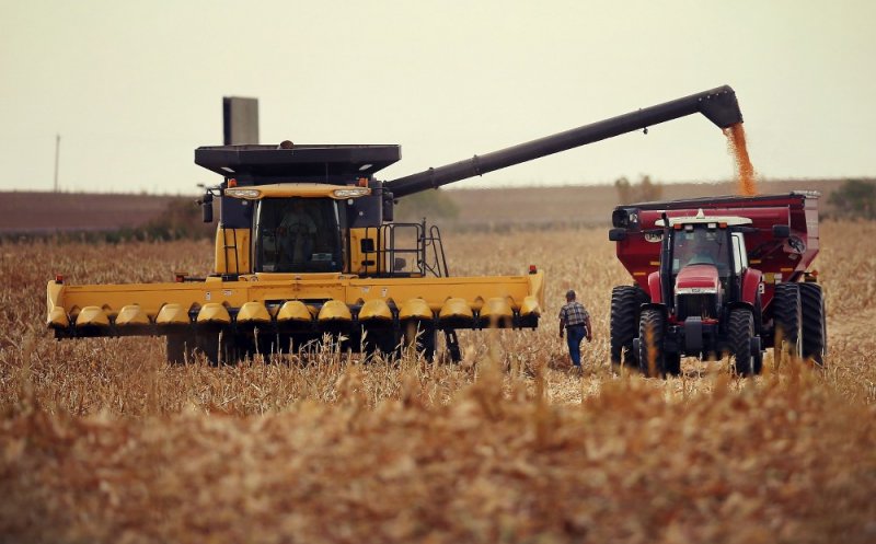 Mai avem nevoie de agricultură la Cluj?
