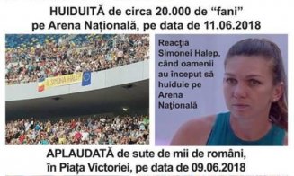 După ce "le-a sărit tot internetul în cap", Dragnea l-a concediat pe creierul manipularii online a PSD cu Simona Halep