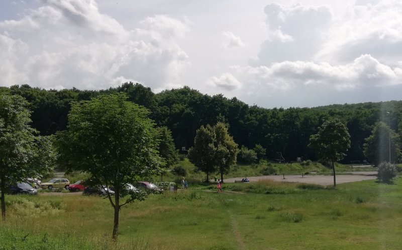 Unde mai vrea primăria să construiască un patinoar. Sport pe 3,7 hectare