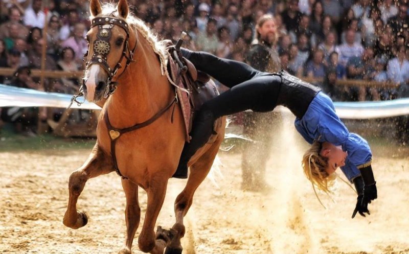 Biletele pentru spectacolele Salina Equines Horse Trophy s-au pus în vânzare