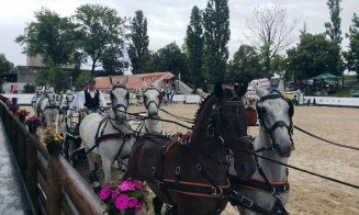Final cu surprize la Salina Equines Horse Trophy