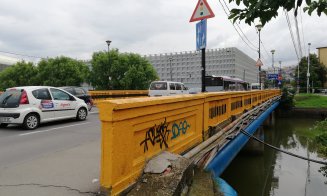 Garibaldi trece anul. Cât de mult se lățește