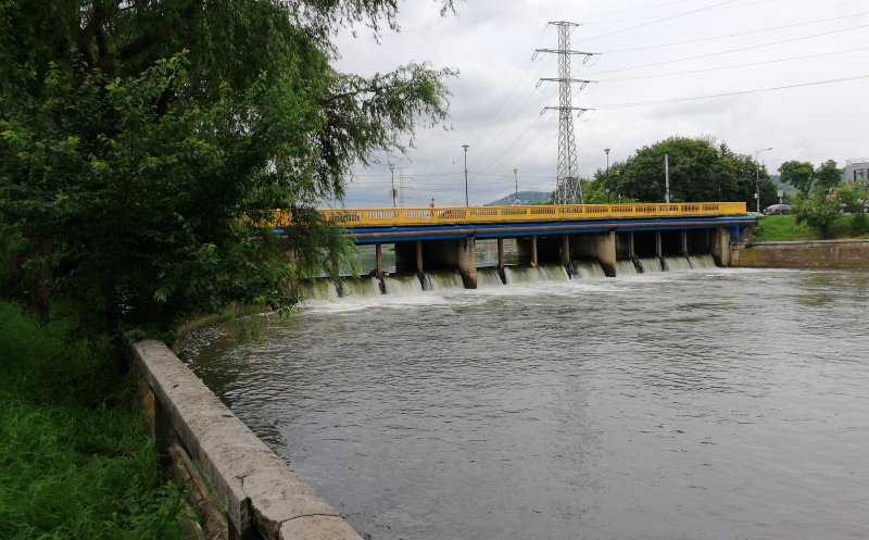 Garibaldi trece anul. Cât de mult se lățește