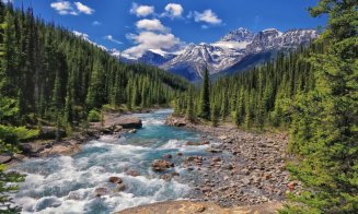 Cluj - Siberia: 25.000 km pentru a studia schimbările climatice asupra Marii Păduri Boreale