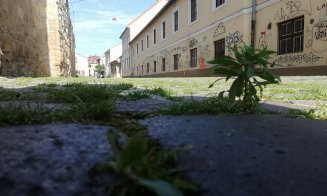 O nouă idee urbanistică, la Cluj: alei înierbate GALERIE FOTO