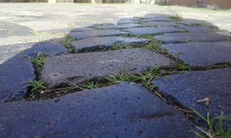 O nouă idee urbanistică, la Cluj: alei înierbate GALERIE FOTO