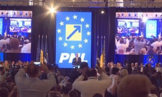 PNL a adoptat la Consiliul Naţional "Principiile bunei guvernări liberale"