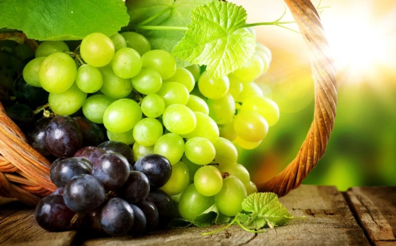 Dieta rapidă cu struguri! A apărut în SUA anilor ’20