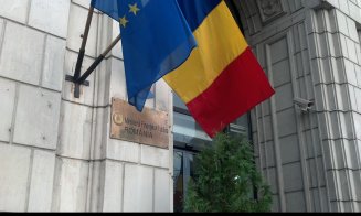 Situaţiile financiare ale firmelor, publicate pe net. Ce spune ministrul Finanţelor