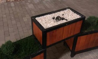 Jardinierele de flori proaspăt montate, furate de hoți la Câmpia Turzii