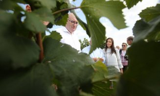 Clujul va deschide o expoziție de produse tradiționale în Parlamentul European