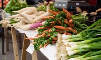 ”Toamna la H33”.  Clujul  îşi face AgroHub