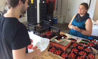 Piața Abator, varianta de Bruxelles. Fermă de ciuperci, crescătorie de pești și grădini suspendate