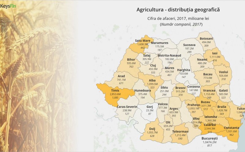 Clujul face o jumătate de miliard de lei pe an din agricultură