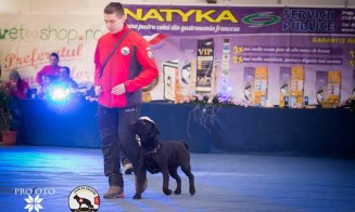 Eveniment caritabil cu câini de salvare la Cluj. Să ajutăm un tânăr salvator care se luptă cu cancerul