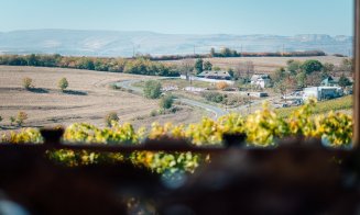 Vinurile Clujului au intrat în catalogul Gault & Millau