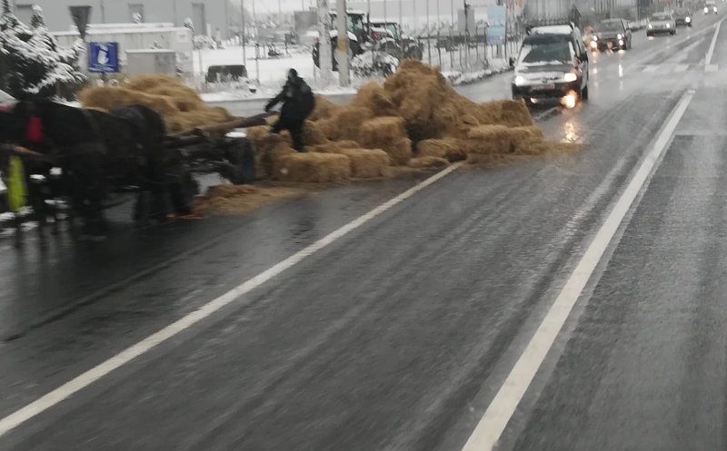 Accident tragicomic pe o stradă din Cluj. S-au răsturnat baloții dintr-o căruță