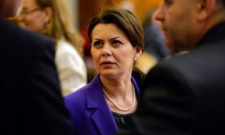 Aurelia Cristea, despre "taxa pe lăcomie": "E o întoarcere cu 30 de ani în urmă". Fostul ministru PSD trage un semnal de alarmă