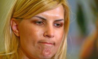 Elena Udrea, Crăciun în libertate: "A fost o experienţă foarte grea de data aceasta"