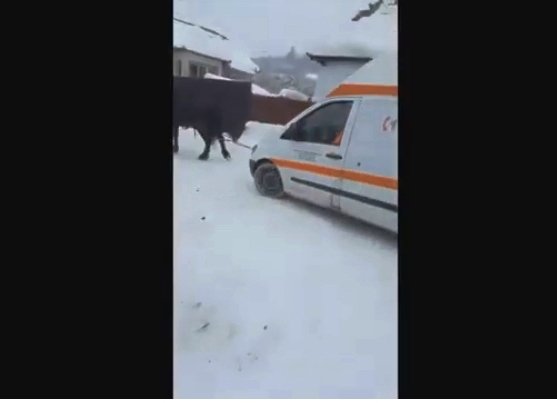 Poza zilei. Se întâmplă în Cluj din păcate
