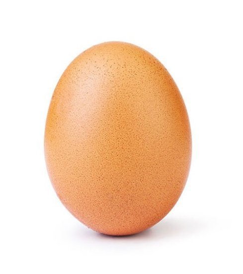 Un ou de găină a devenit fotografia cea mai apreciată de pe Instagram