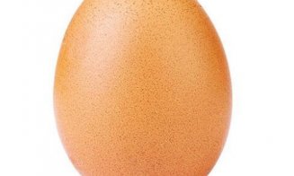 Un ou de găină a devenit fotografia cea mai apreciată de pe Instagram