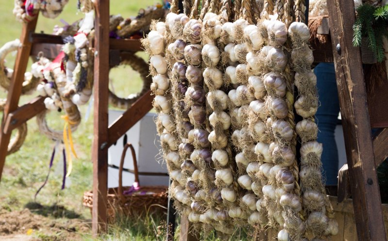 Pentru ce primesc bani gratis fermierii în 2019: usturoi, roșii, porci, lână, irigații