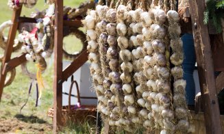 Pentru ce primesc bani gratis fermierii în 2019: usturoi, roșii, porci, lână, irigații