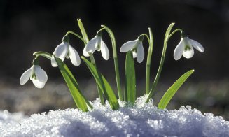 Am scăpat sau nu de iarnă? Temperaturi ba cu minus, ba cu plus, în weekend