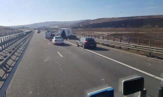 Pui pe Autostrada Transilvania