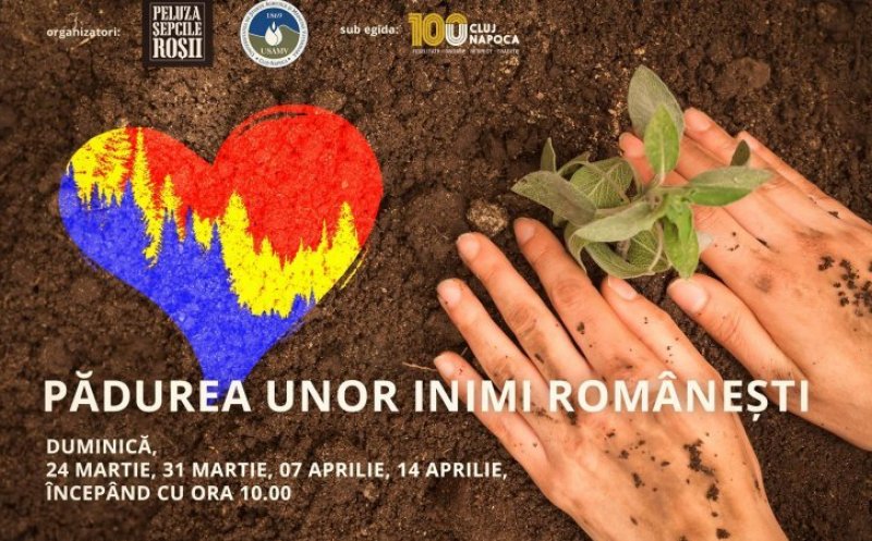 “Pădurea ‘U’nor inimi românești”. Suporterii Universităţii au plantat primii arbori