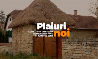 Prima microregiune a Clujului va îngloba 12 comune din județ