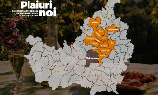 Prima microregiune a Clujului va îngloba 12 comune din județ