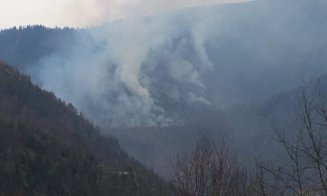 Incendiu pe 20 de hectare de pădure din Cluj. Pompierii intervin de câteva ore