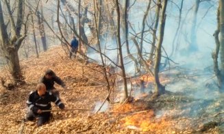Cluj: 70 de incendii de vegetaţie, în 7 zile