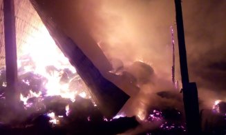 Incendiu masiv în Valea Florilor. Pompierii s-au luptat cu flăcările timp de 6 ore