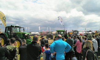 Vacile zburătoare de la Agraria