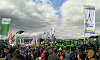 Vacile zburătoare de la Agraria