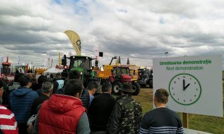 Vacile zburătoare de la Agraria