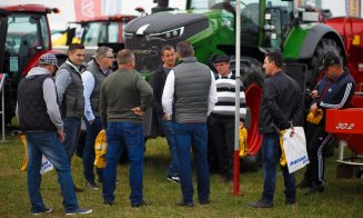 Vacile zburătoare de la Agraria