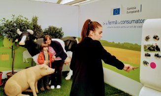Vacile zburătoare de la Agraria