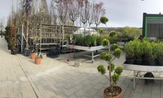 Soluţii complete pentru spaţii exterioare, în cel mai "european" Garden Center din Cluj