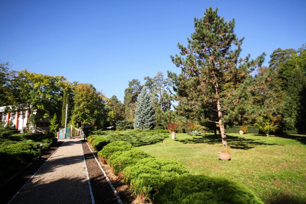 Mini-biblioteci într-un parc din Cluj