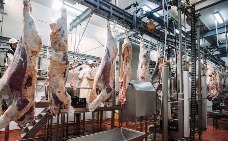 Producătorii avertizează: Urmează creşteri de preţ la carnea de pasăre şi porc
